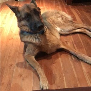 Meet your Posher, Emma